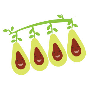 Mfs1 12 Avocado Sm