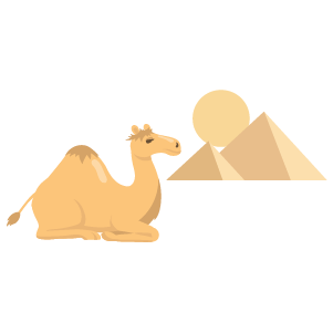 Mfs2 10 Sally The Camel Sm