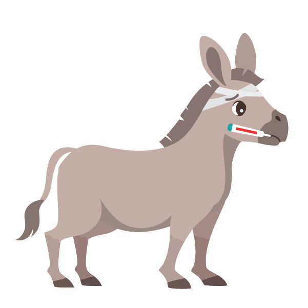 Libro 08 A Mi Burro@2x